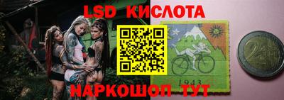 стаф Свободный