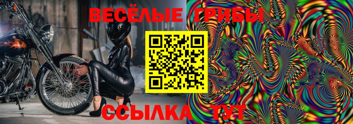 Псилоцибиновые грибы ЛСД Александров