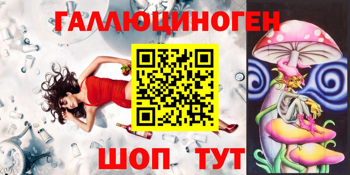 Галлюциногенные грибы Cubensis  Галлюциногенные грибы Psilocybine cubensis  Александров  Вход с VPN 