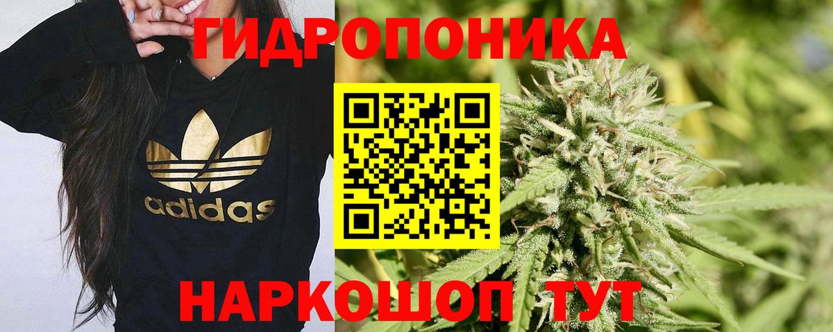 Конопля гибрид  Канабис Ganja  Бошки Шишки марихуана  Бошки Шишки план  Вход с VPN  Александров 